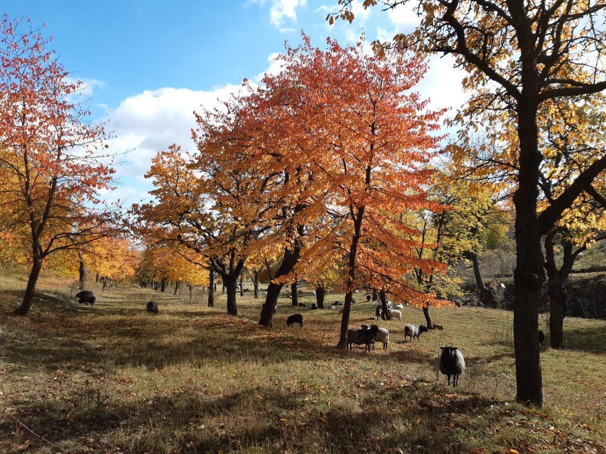 Valečská pálenice Valec Exterior foto